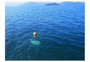 世界一美しい琵琶湖の渦1