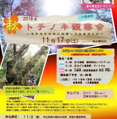 2018年 秋のトチノキ観察会