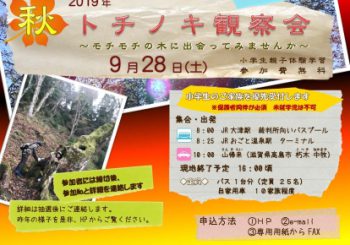 【募集終了】2019年 秋のトチノキ観察会