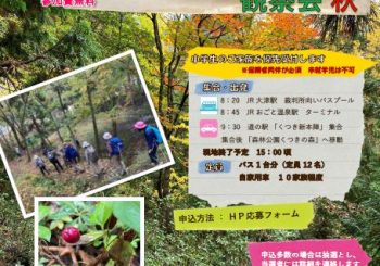 報告書-2023びわ湖源流の森観察会・秋