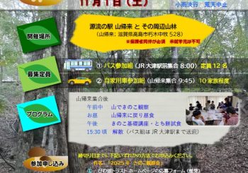 2025年 びわ湖源流の森 きのこ自然観察会（2025年  きのこ観察会）