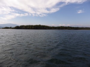 IMGP0576