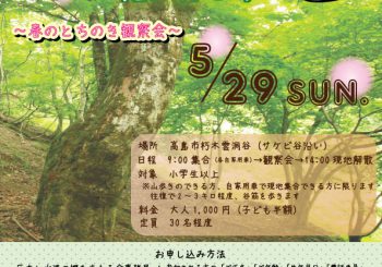 春のとちのき観察会（巨木と水源の郷をまもる会からのお知らせ）