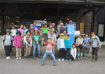 2016朽木大トチノキ開花観察会　報告