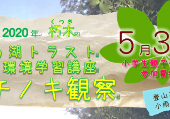 【中止のお知らせ】2020年度　春トチノキ