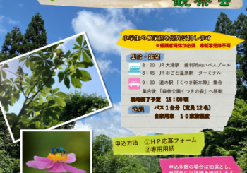 2023春 びわ湖源流の森観察会(2023春観察会)