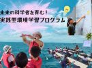 Yahoo!ネット募金はじめました